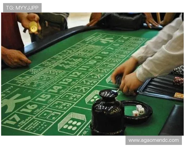 多样百家乐娱乐城游戏内容尽享丰富娱乐体验满足不同玩家需求